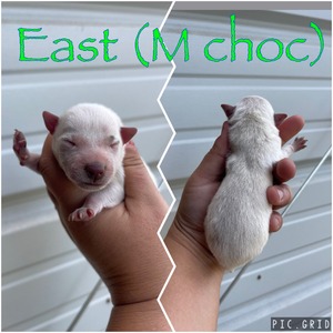 East